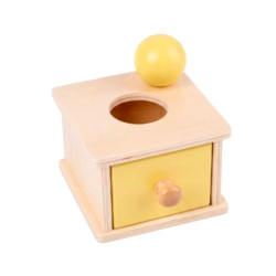 Mainan Edukasi Montessori Toys Ball Drawer