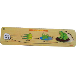 Puzzle Metamorfosis Katak Puzzle Metamorfosis Katak