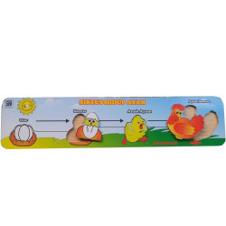 Puzzle Stiker Siklus Hidup Ayam